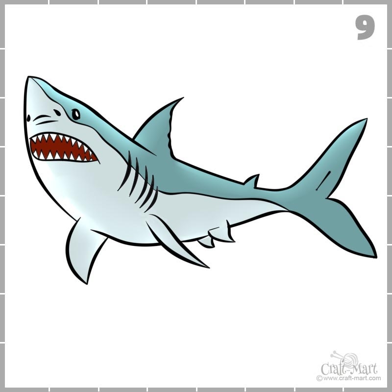 209 how to draw a shark step 8 Craft Mart
