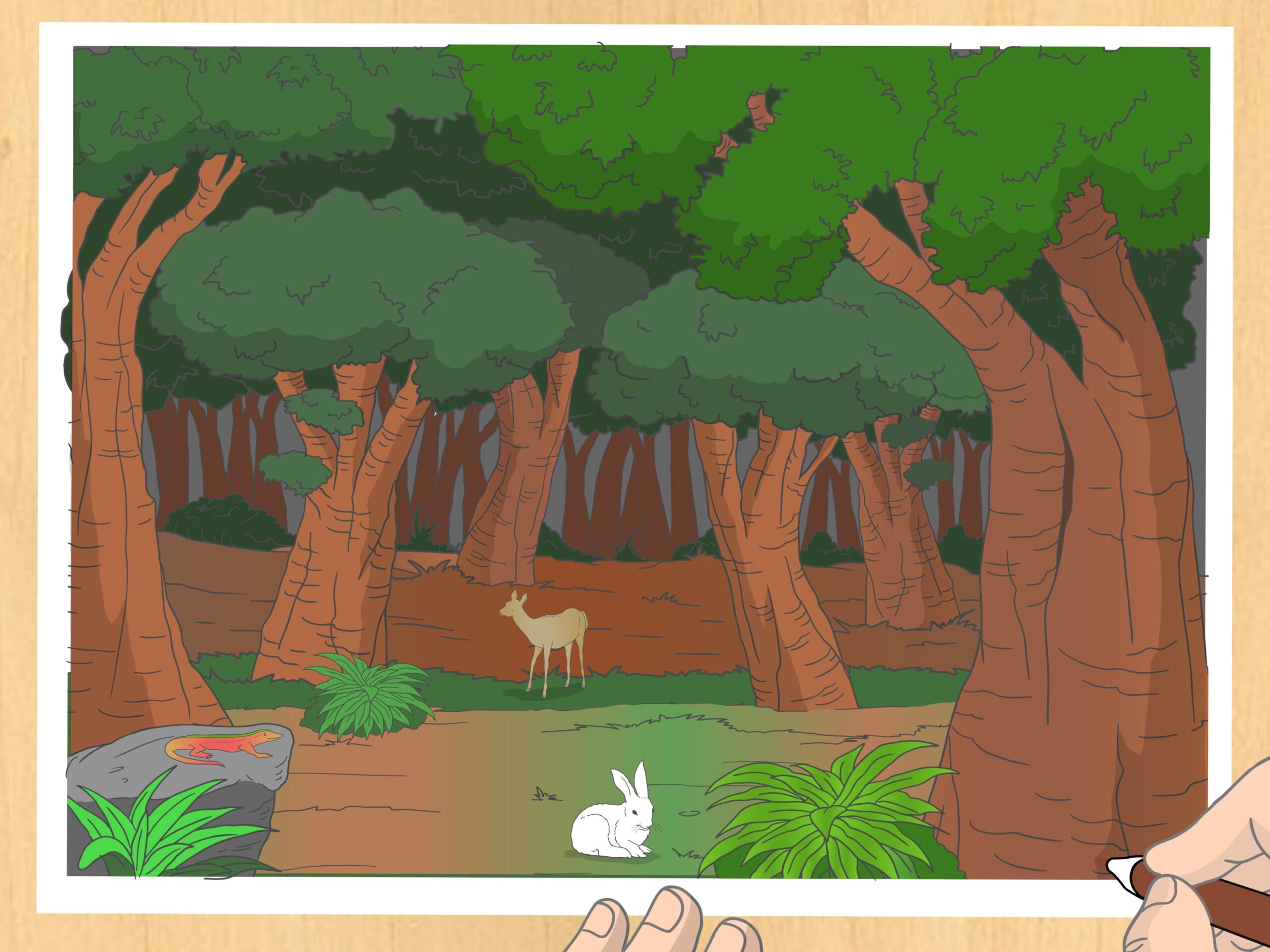 3 Ways To Draw A Forest WikiHow