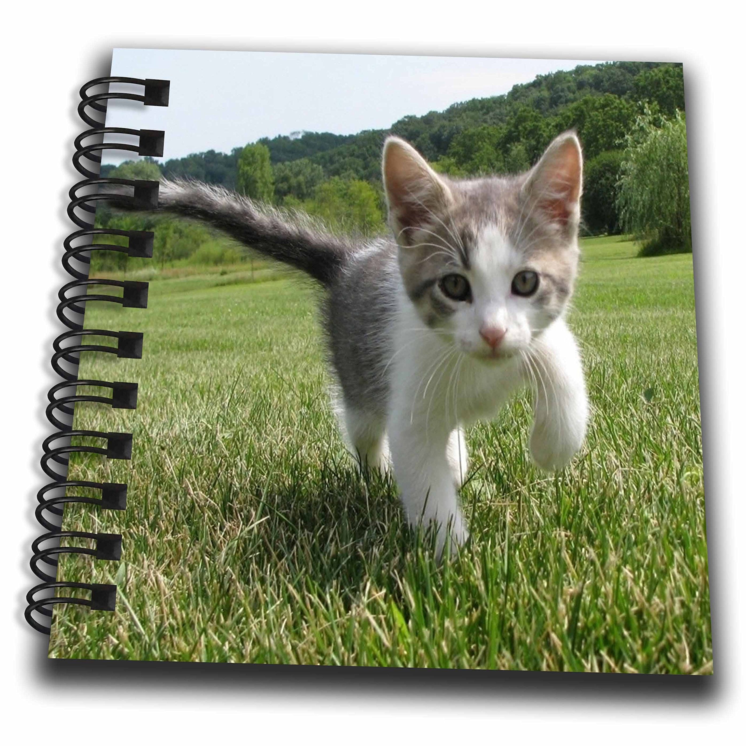 3dRose Sweet And Cute Baby Kitten Cat Drawing Book 4 X 4 Amazon in Office Products
