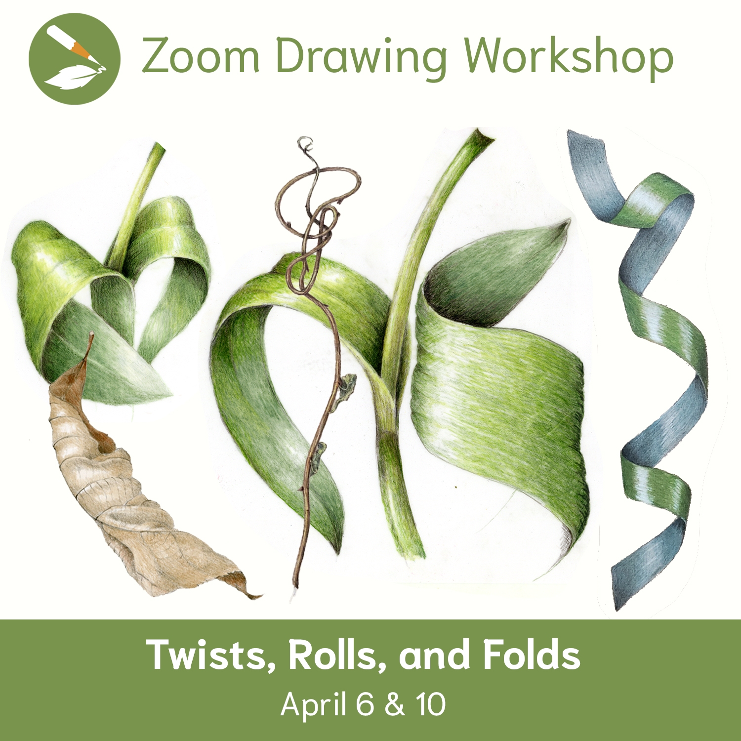 4 Tips For Drawing Twists Rolls U0026 Folds Draw Botanical LLC