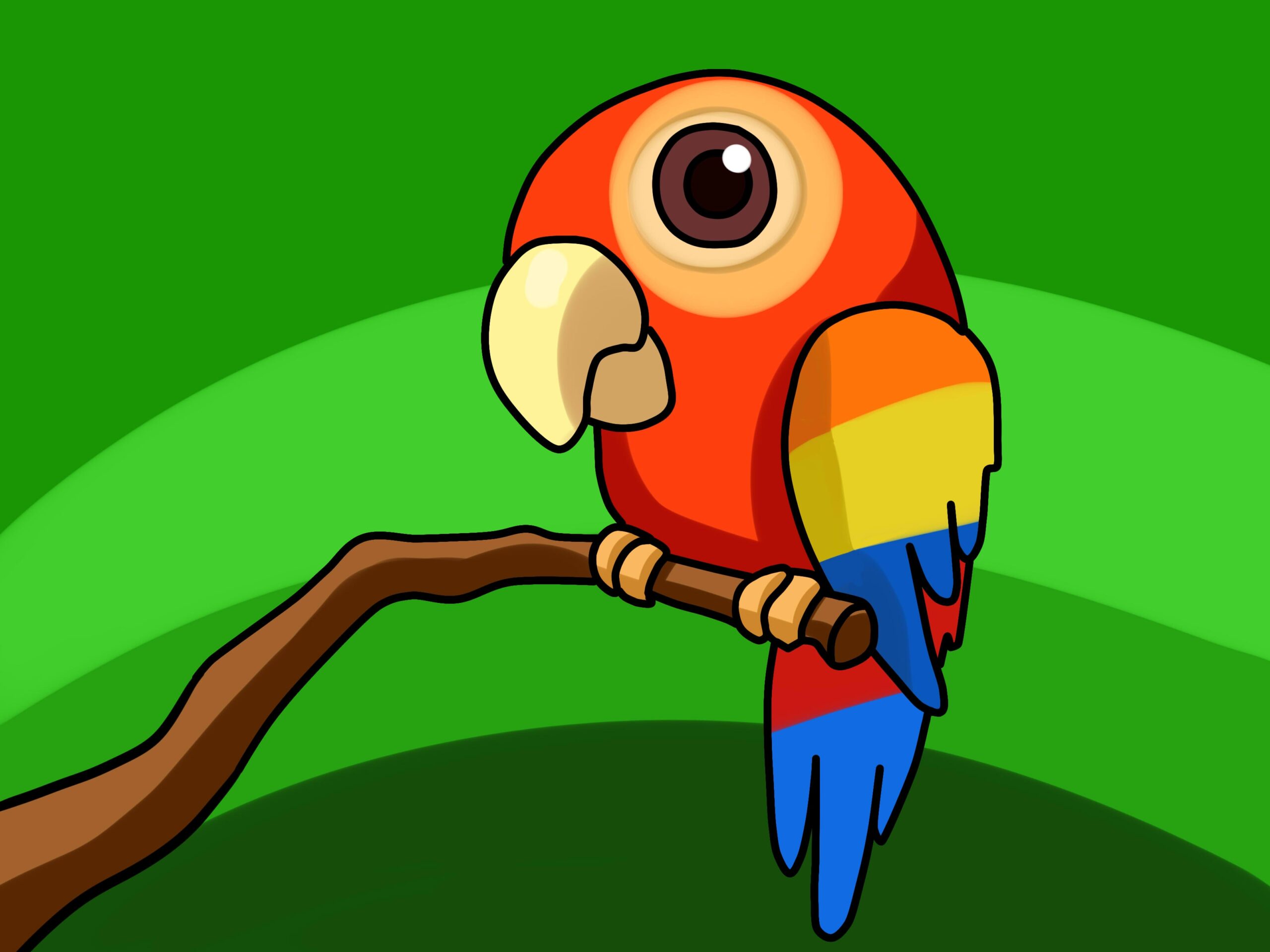 parrot drawing
