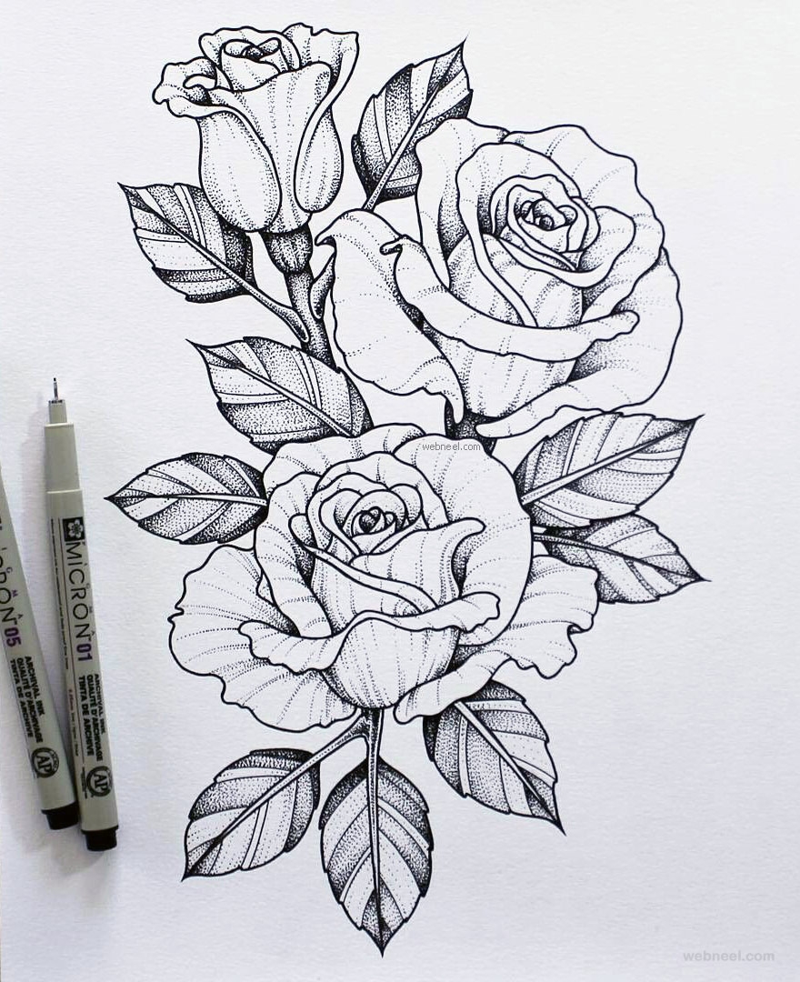 45 Beautiful Flower Drawings And Realistic Color Pencil Drawings