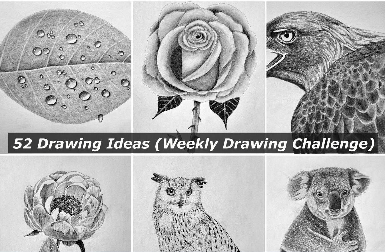 52 Drawing Ideas Draw Every Week For A Year Challenge Muus Art