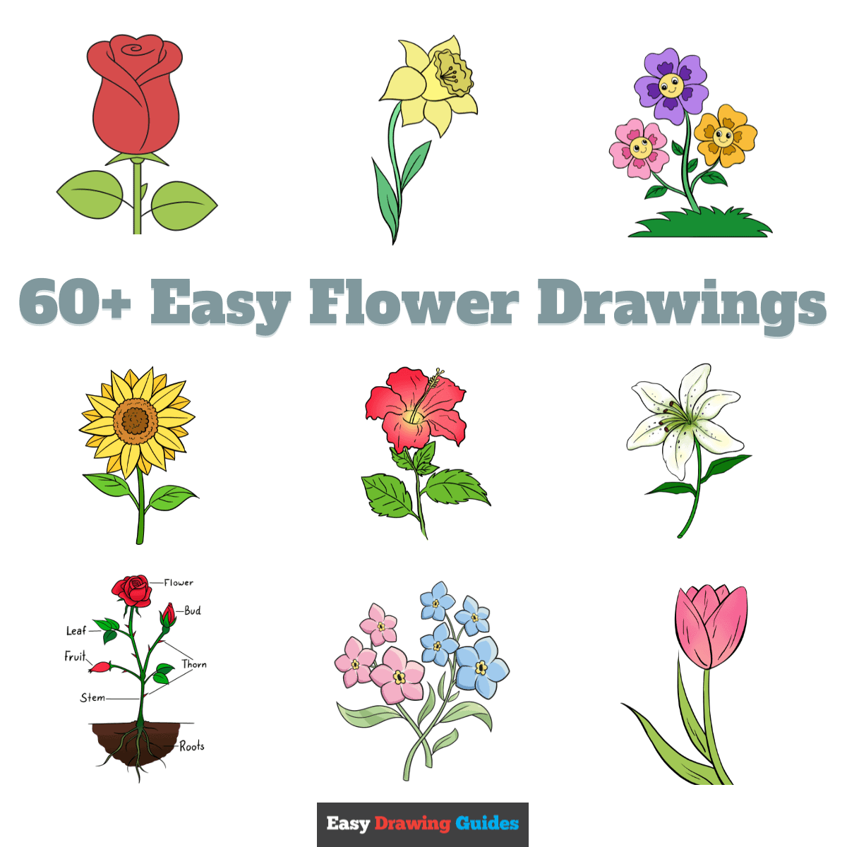 flower drawing easy and beautiful