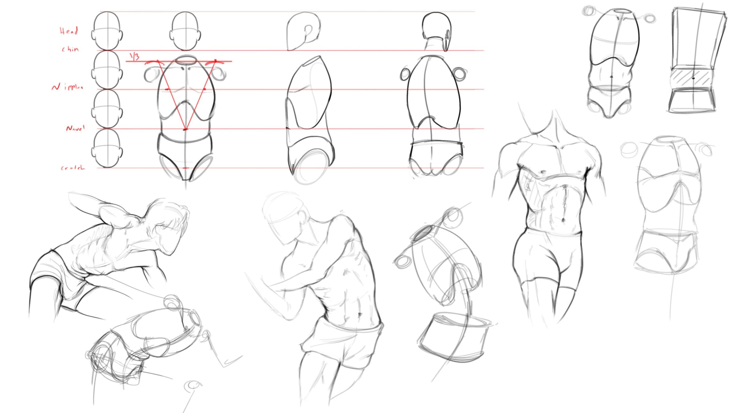 7 Ways To Draw Anatomy Wingfox