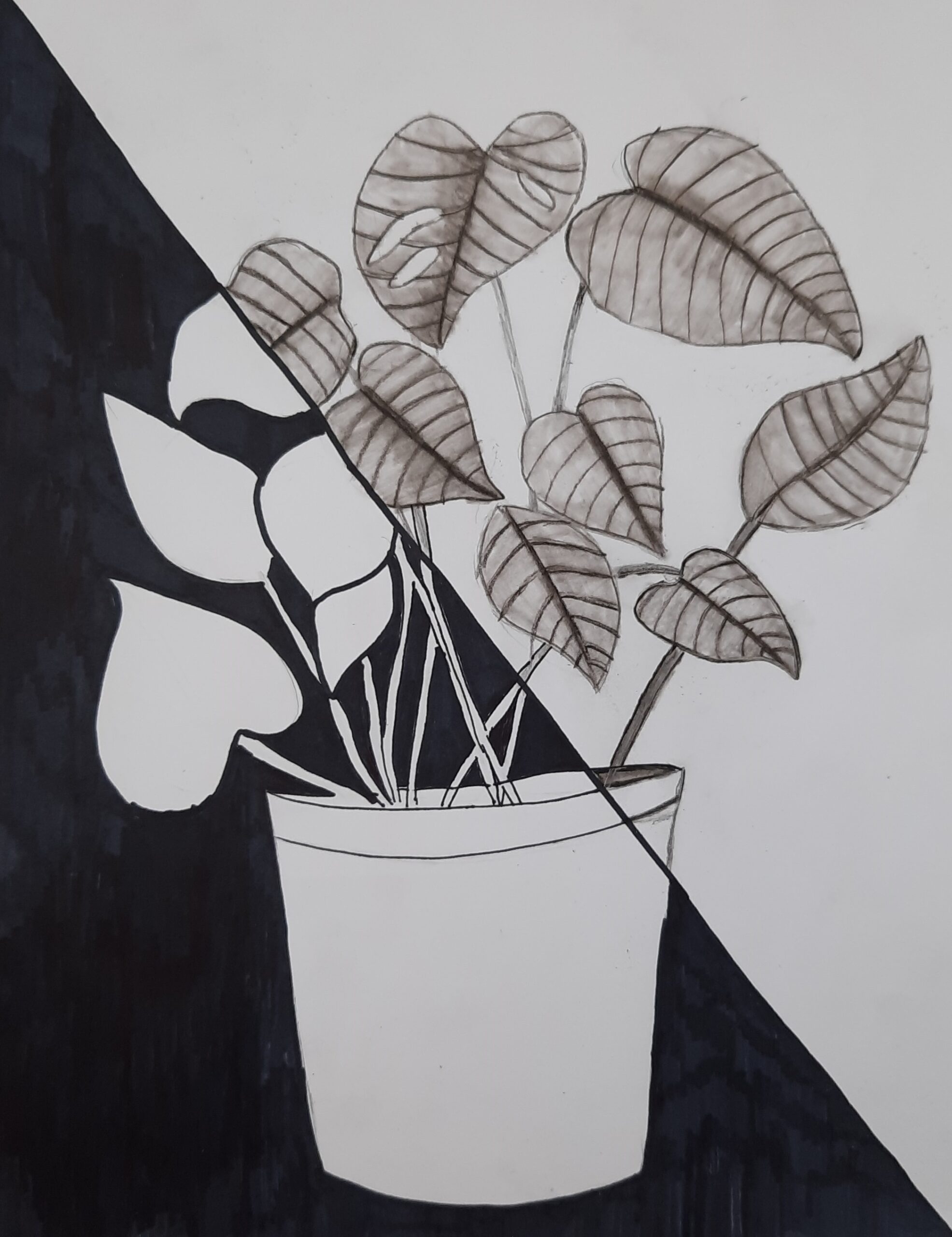 A Faithful Attempt Positive Negative Space Plant Drawing