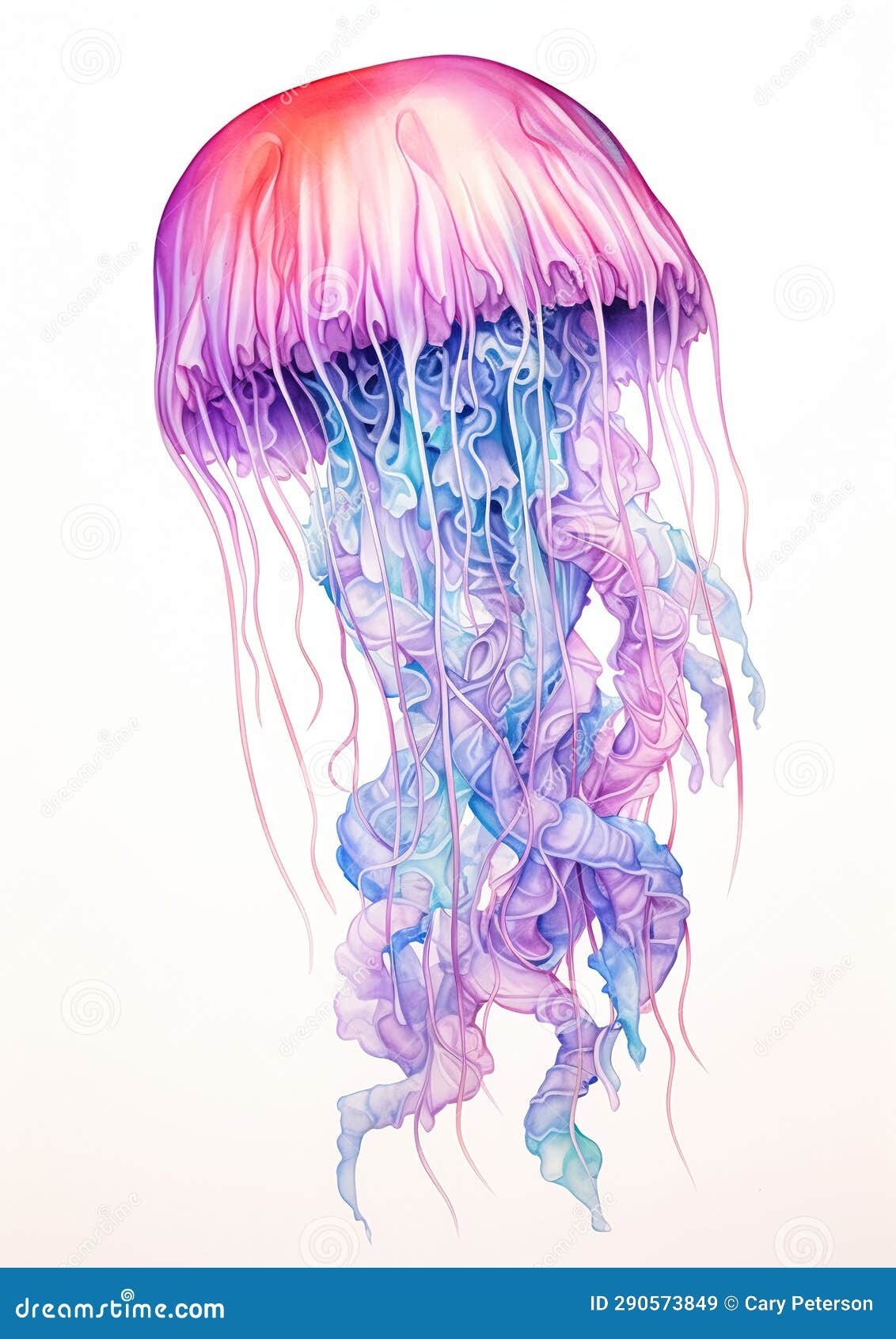 A Jellyfish Drawing In Red Purple And Magenta Pencil With Blue Stock Illustration Illustration Of Color Purple 290573849