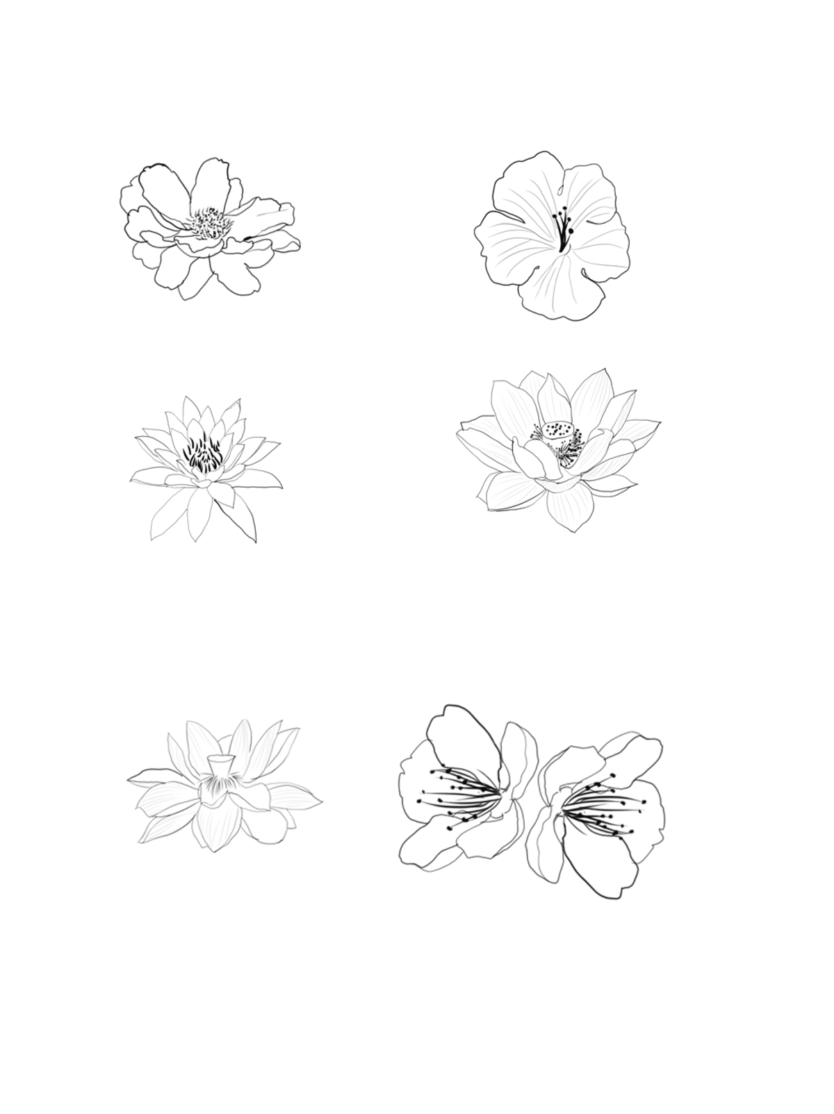 flower pen drawing