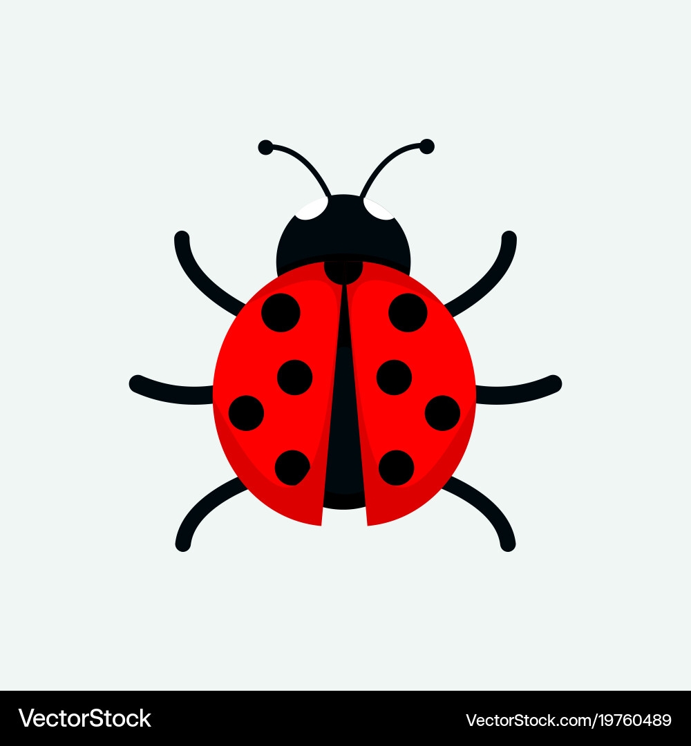 Adorable Ladybug Drawing Royalty Free Vector Image