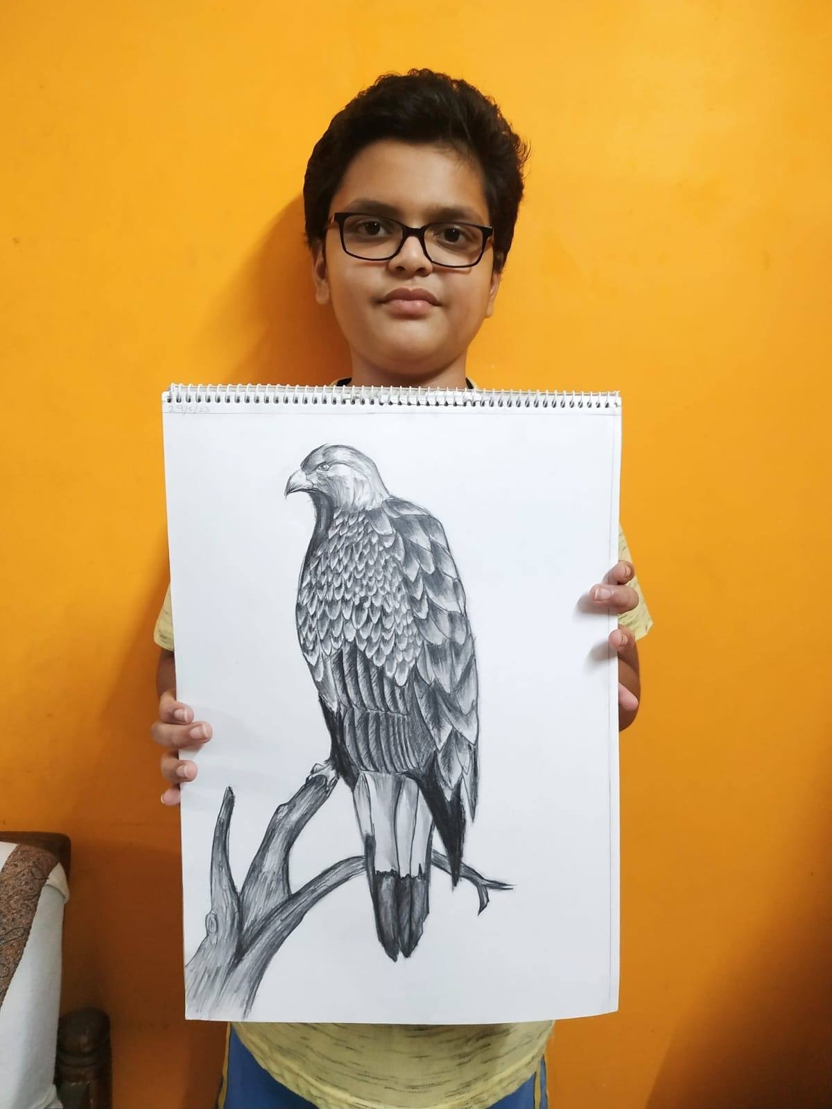 Advanced Drawing Courses Online Drawing Classes
