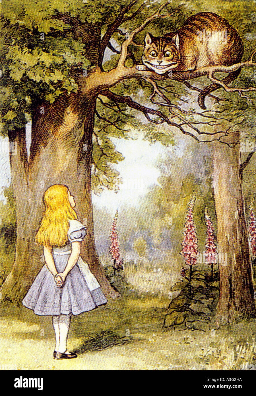 alice in wonderland drawings