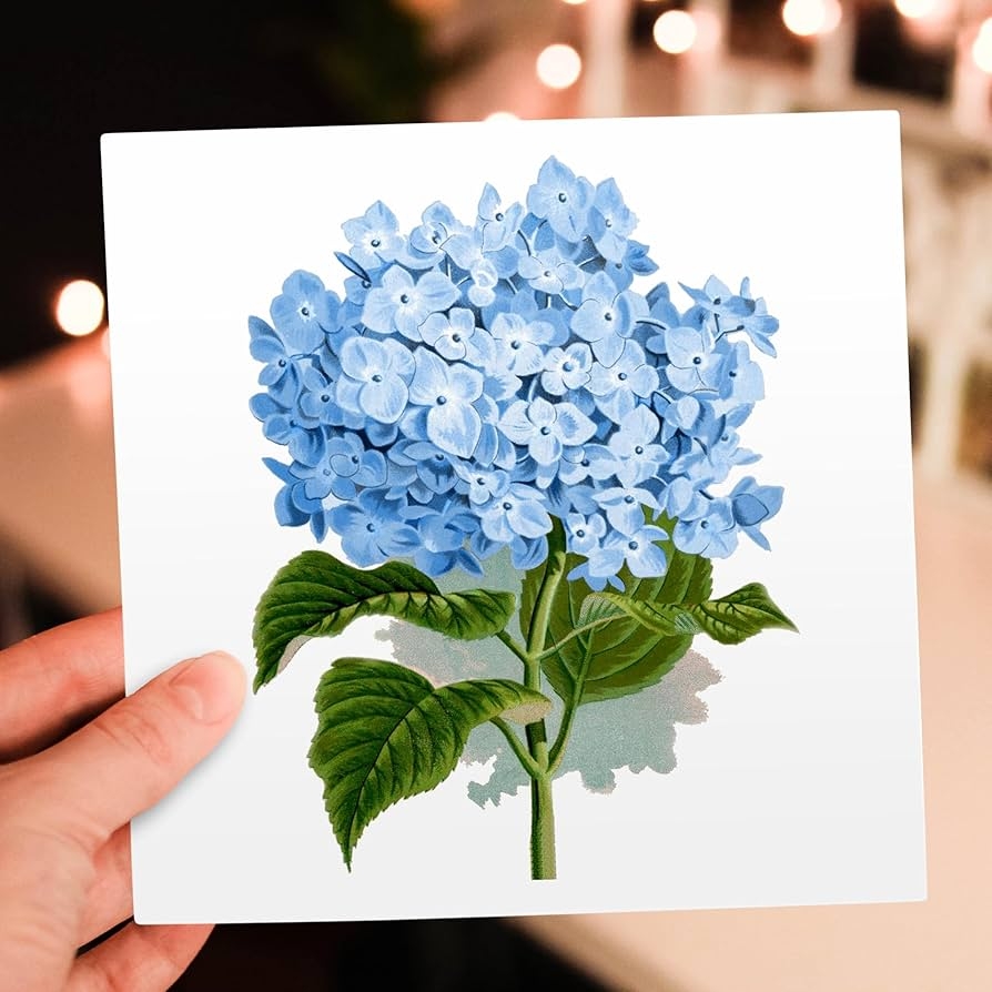 Amazon 3dRose Blue Hydrangea Flowers Vintage Art Floral 