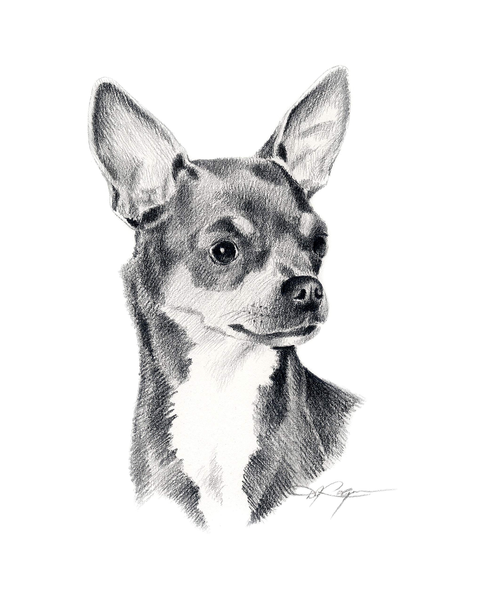 Amazon Chihuahua Pencil Drawing Art Print By Artist DJ Rogers Posters U0026 Prints