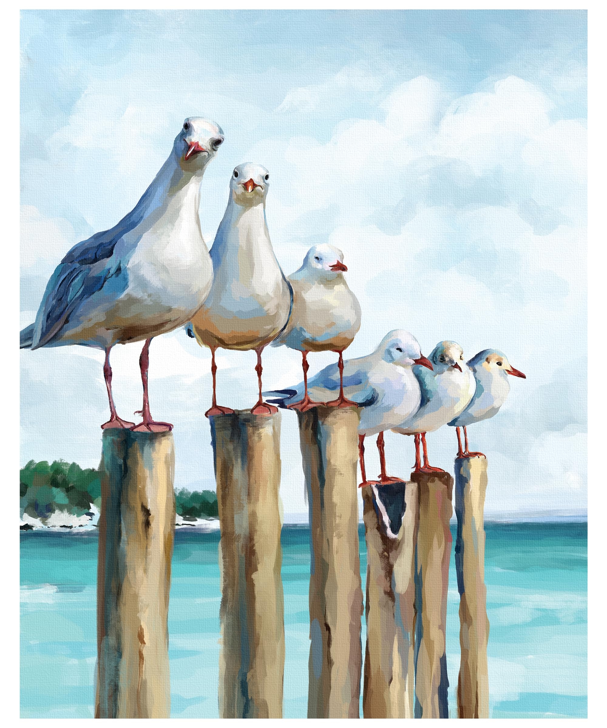 seagull drawing