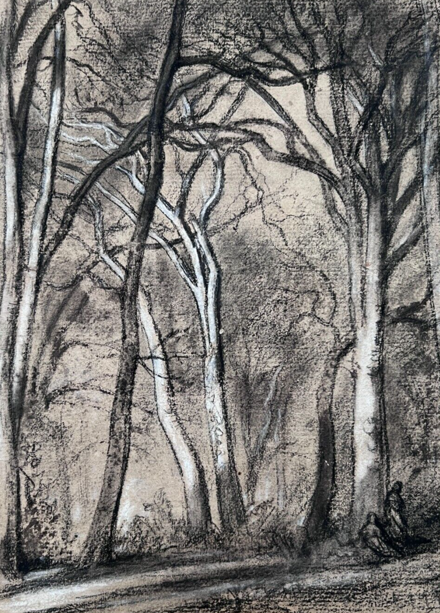 Antique Original Drawing Original Forest Trees Landscape EBay