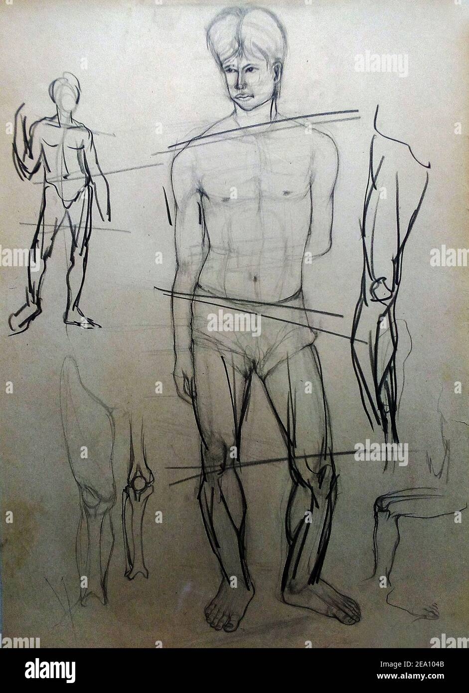 Art Drawing Fine Art quick Structure Sketch Muscle Man Stock Photo Alamy