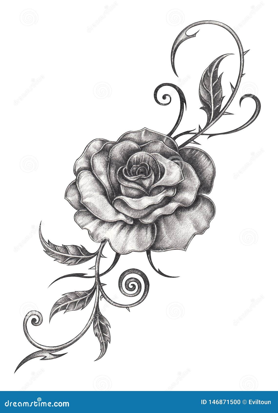 Art Flower Rose Tattoo Stock Illustration Illustration Of Leaf 146871500