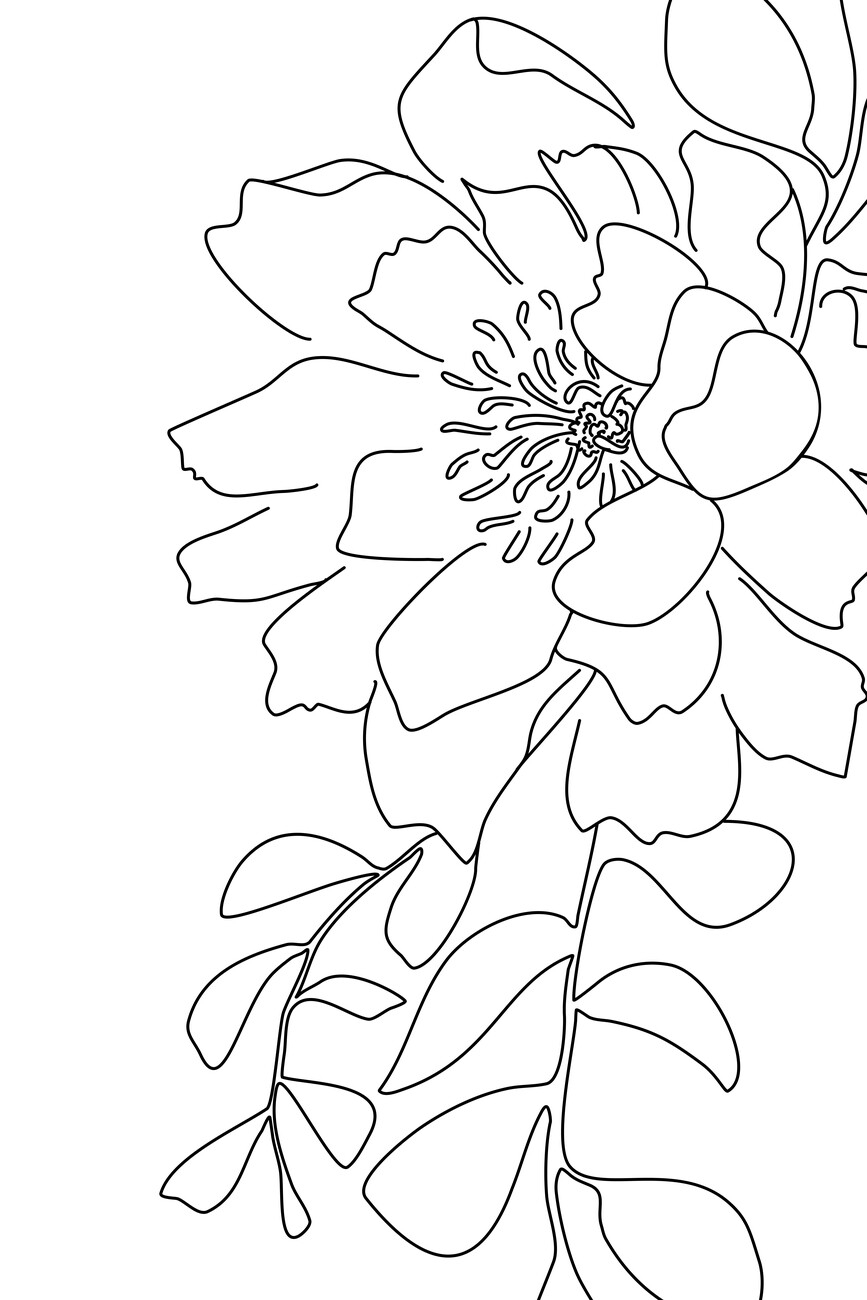 Art Print Floral Line Art