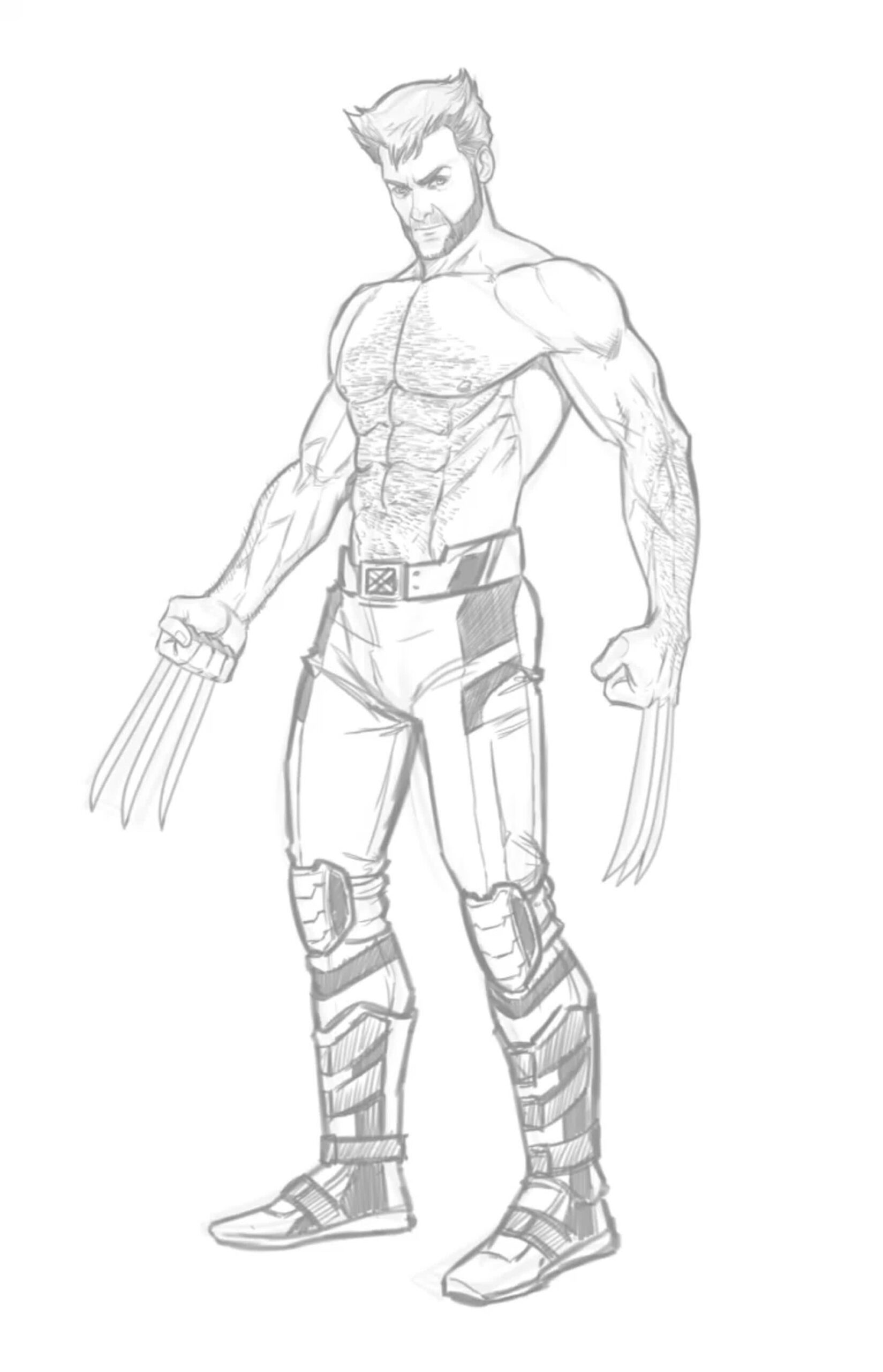wolverine drawing