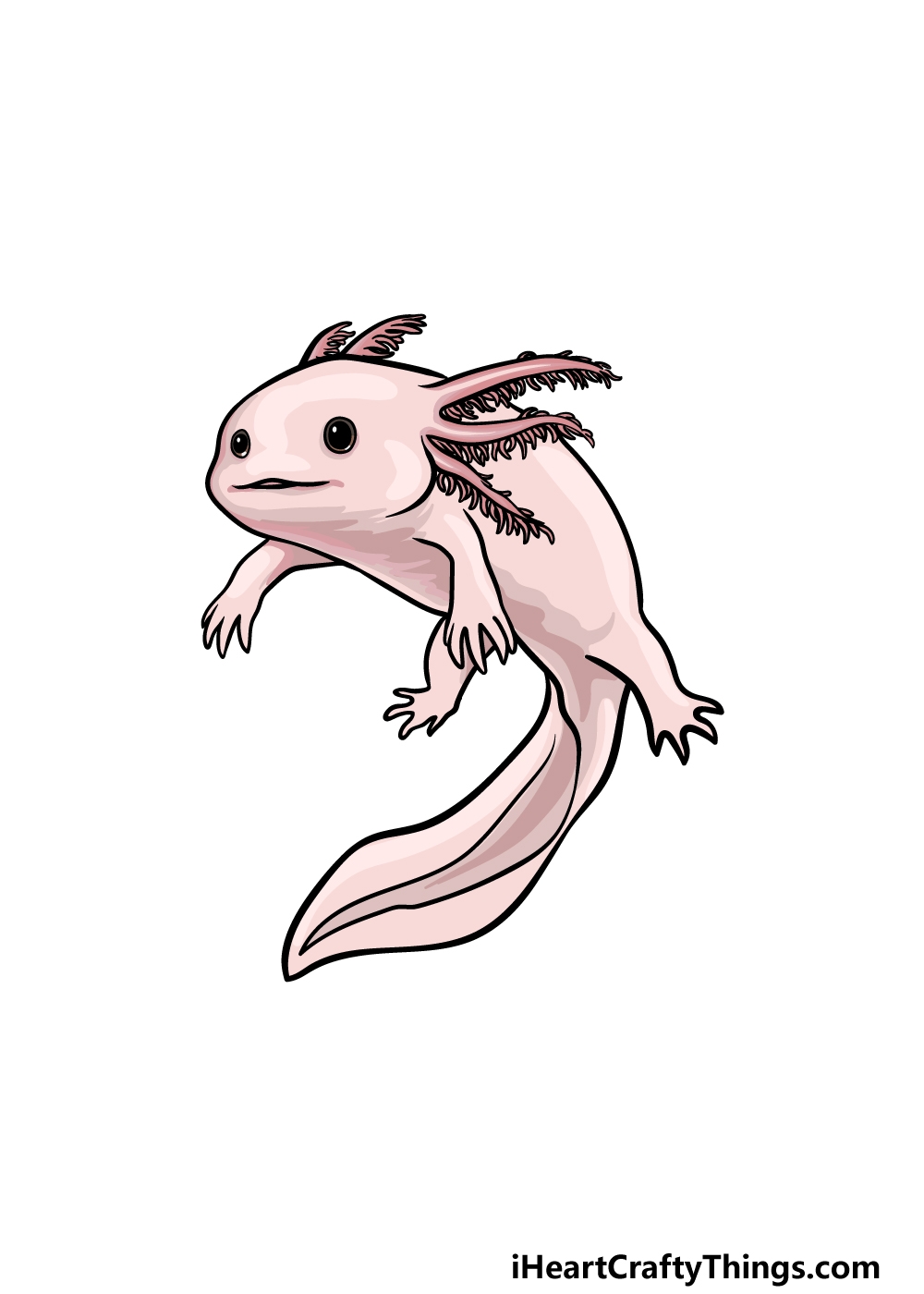 axolotl drawing