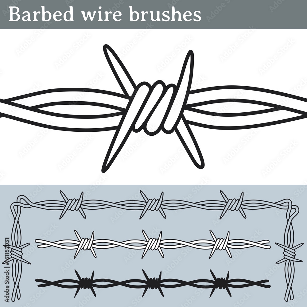 barbed wire drawing