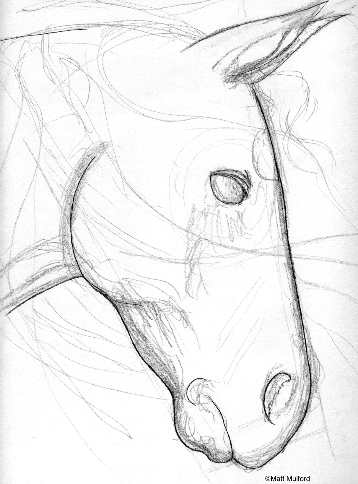 Basic Drawing