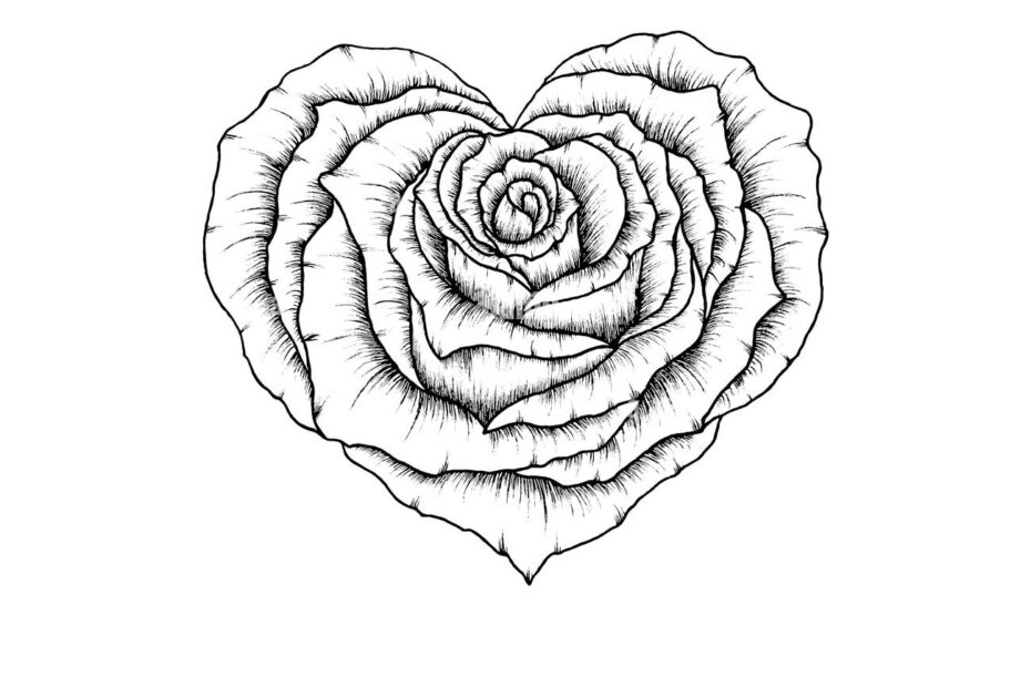 Beautiful Line Art Rose Heart Drawing Isolated On White Fine Art