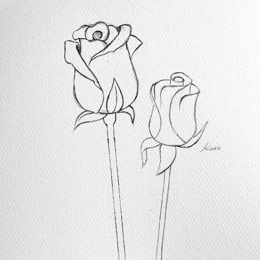 Beautiful Reputable Flowers Digital Stamp Alex Syberia