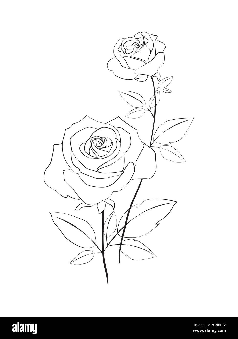 Beautiful Rose Line Art Drawing On White Background Stock Vector 