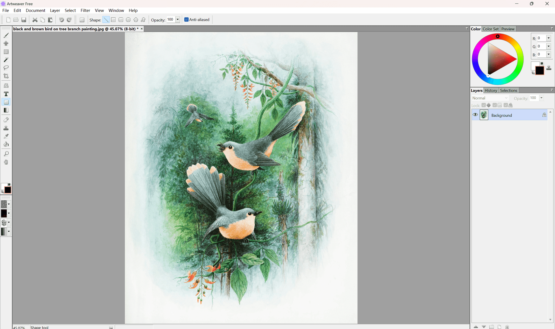 Best Free Drawing Software In 2025 PDF Agile