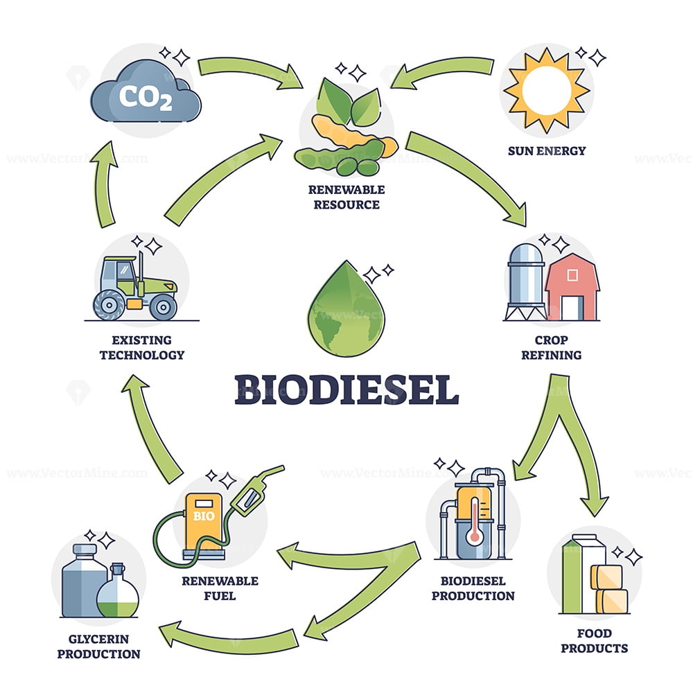 Biodiesel Fuel Life Cycle Explanation With All Usage Stages Outline Diagram
