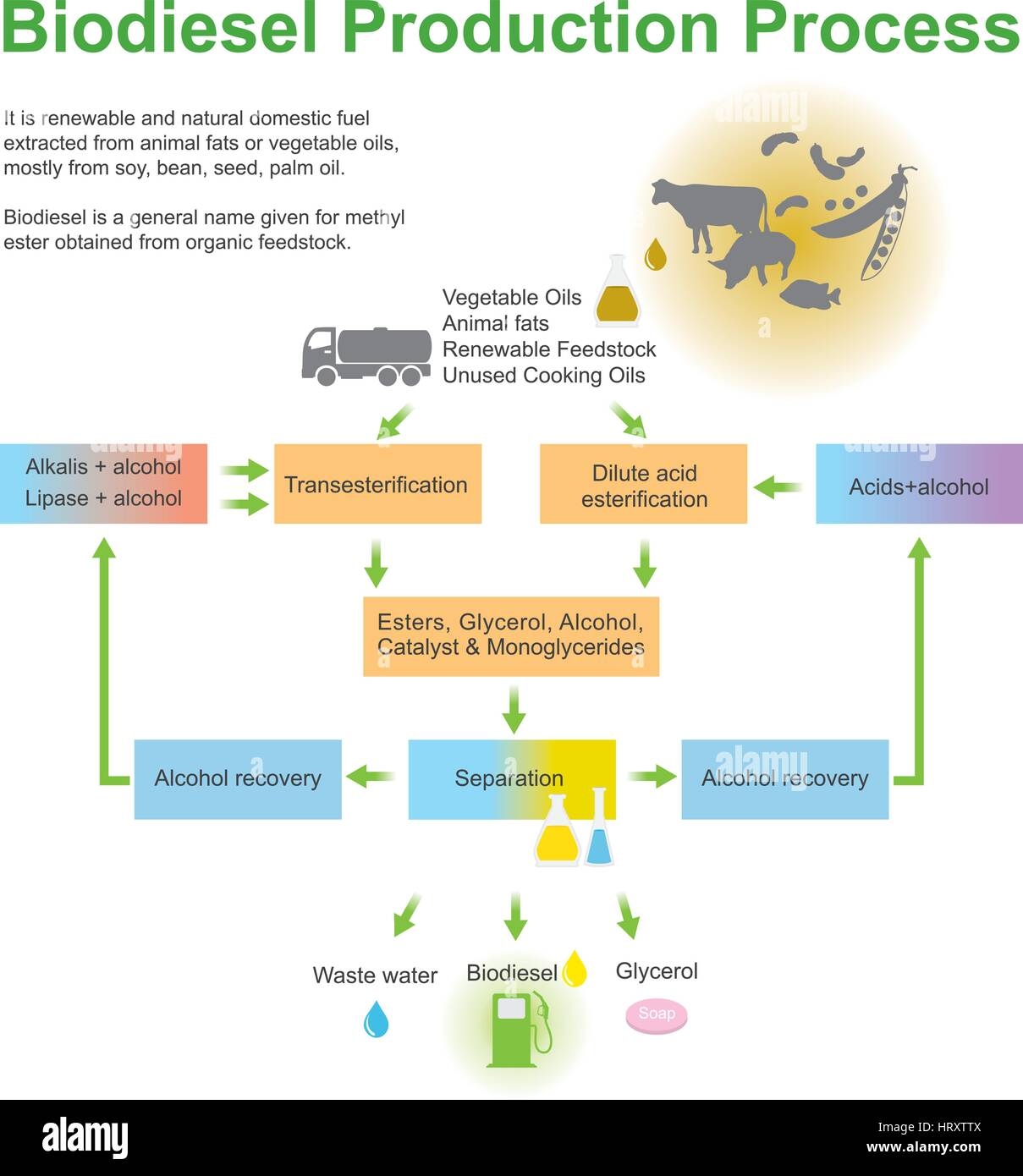 drawing of biofuels being processed