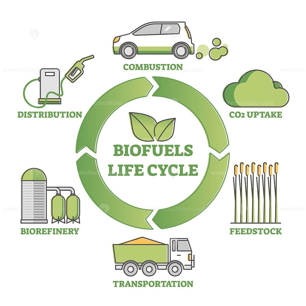 Biofuel Life Cycle Diagram As Production Consumption Process Outline Diagram