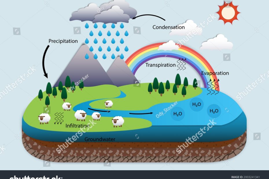 Biogeochemical Cycles Over 95 Royalty Free Licensable Stock Illustrations U0026 Drawings Shutterstock