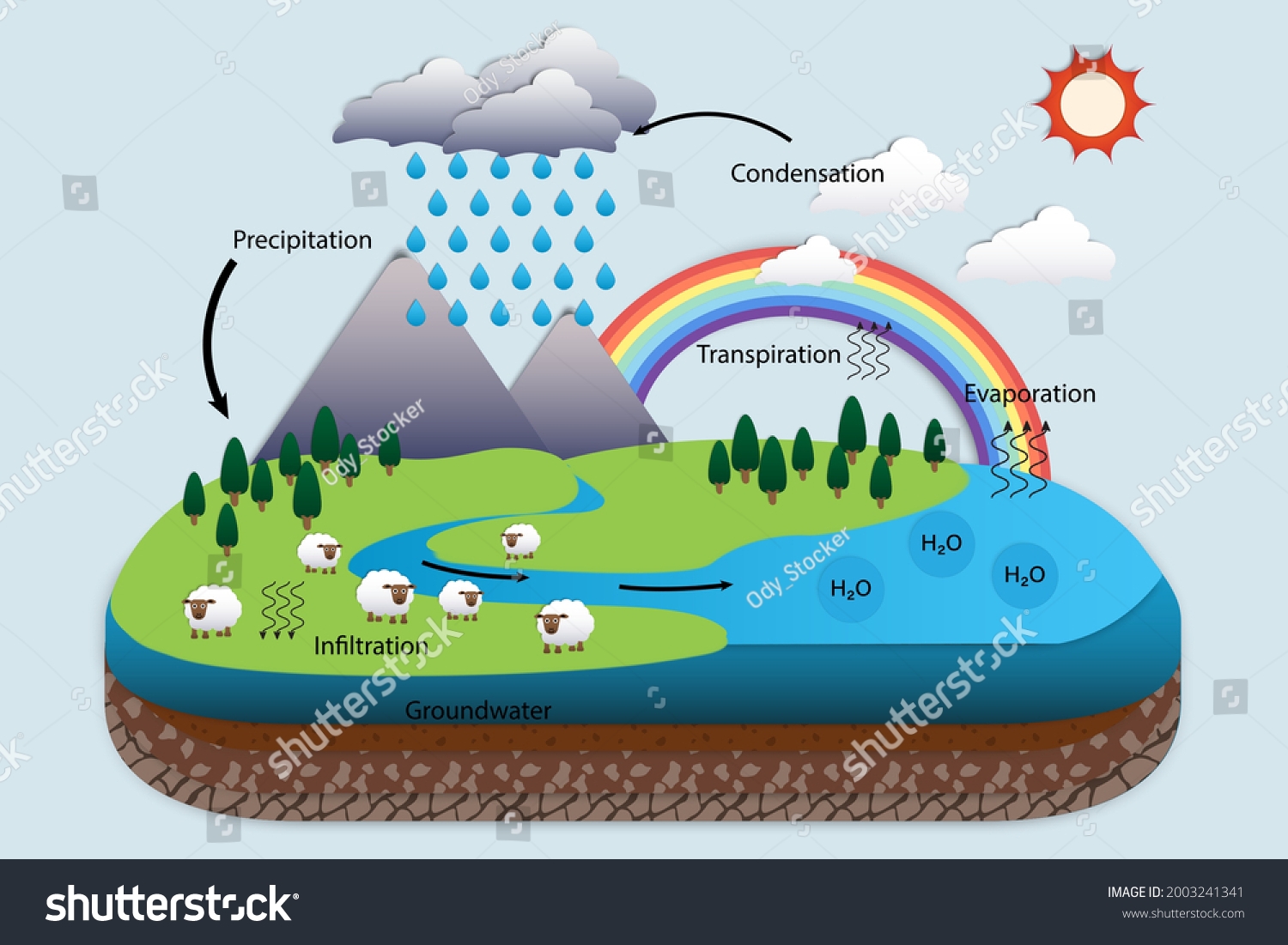 Biogeochemical Cycles Over 95 Royalty Free Licensable Stock Illustrations U0026 Drawings Shutterstock