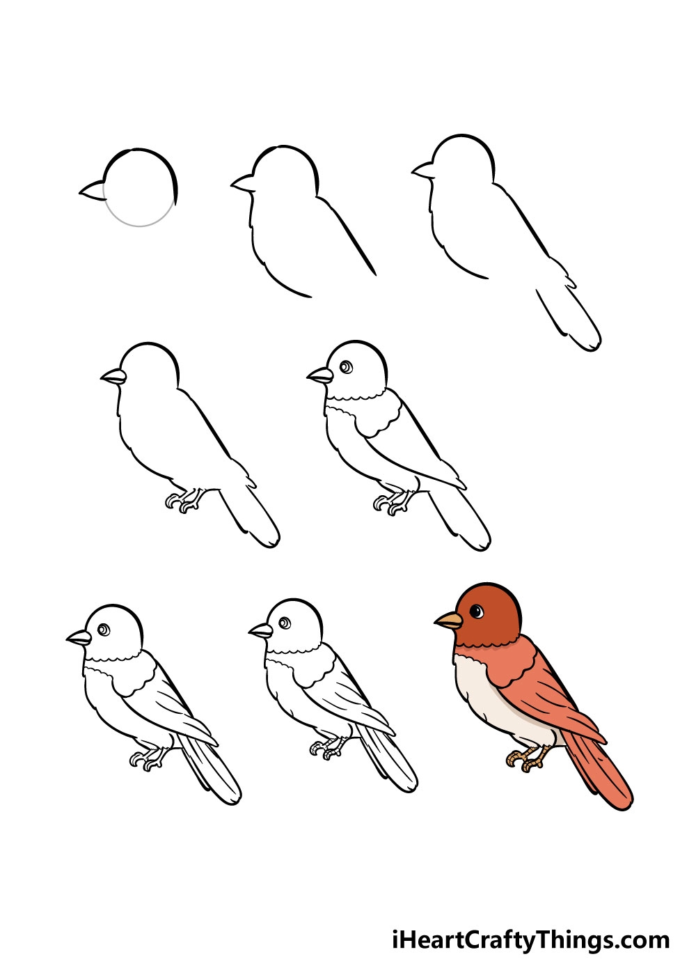 Bird Drawing How To Draw A Bird Step By Step 