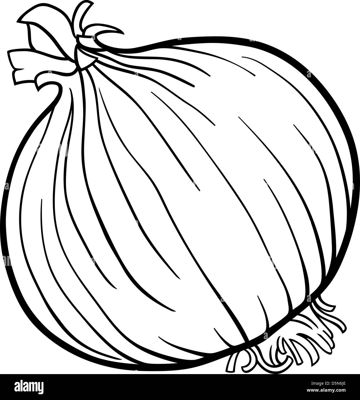 onion drawing