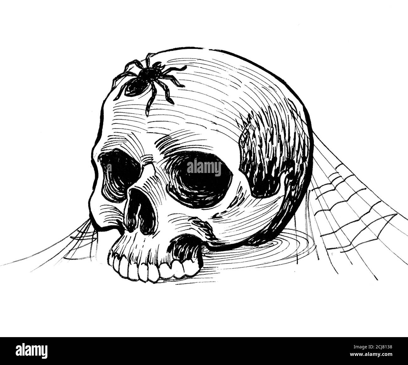 Black And White Drawing Hi res Stock Photography And Images Alamy