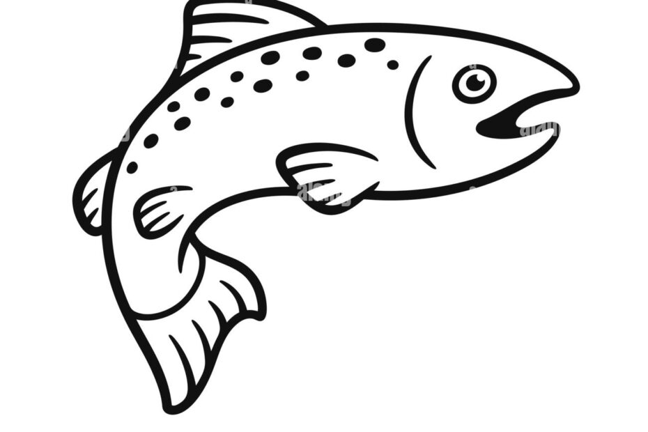 Black And White Salmon Drawing Simple Hand Drawn Fish Illustration Isolated Vector Clip Art Stock Vector Image U0026 Art Alamy