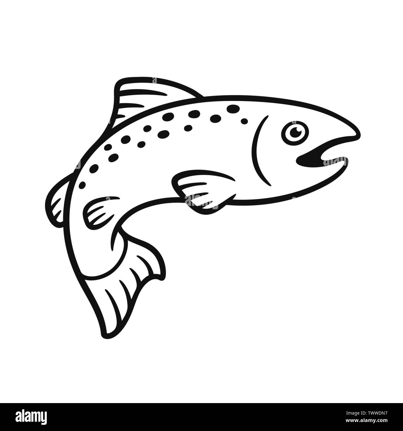 Black And White Salmon Drawing Simple Hand Drawn Fish Illustration Isolated Vector Clip Art Stock Vector Image U0026 Art Alamy