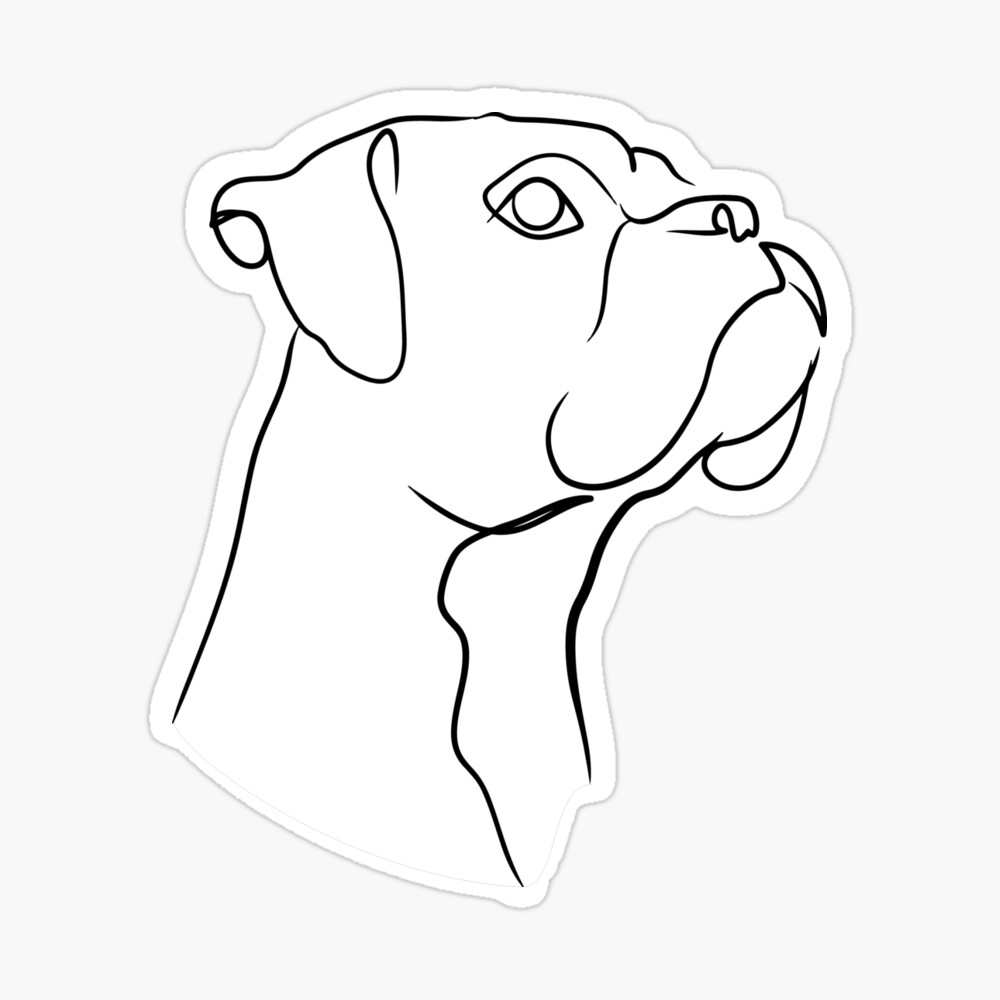 boxer drawings