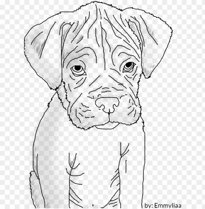 Boxer Puppy Lineart By Emmyliaa On Deviantart Boxer Dog Drawing Easy PNG Transparent With Clear Background ID 198183 TOPpng