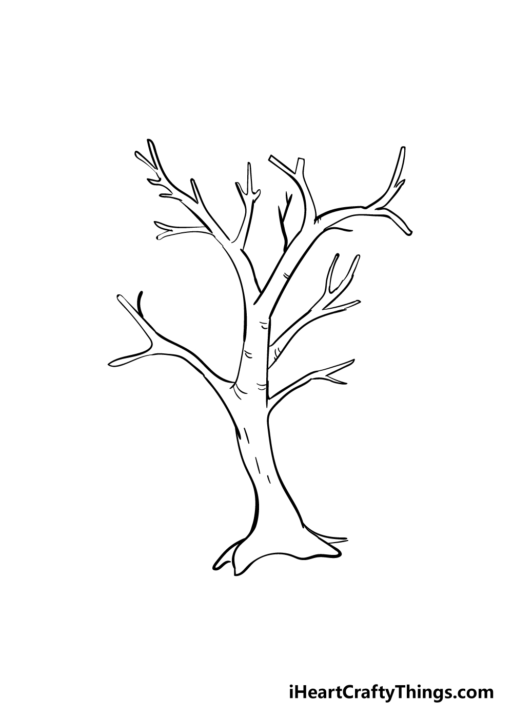 Branches Drawing How To Draw Branches Step By Step