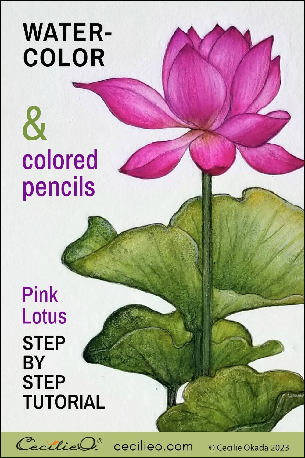 Bring Your Lotus Flower To Life With Watercolor A Tutorial