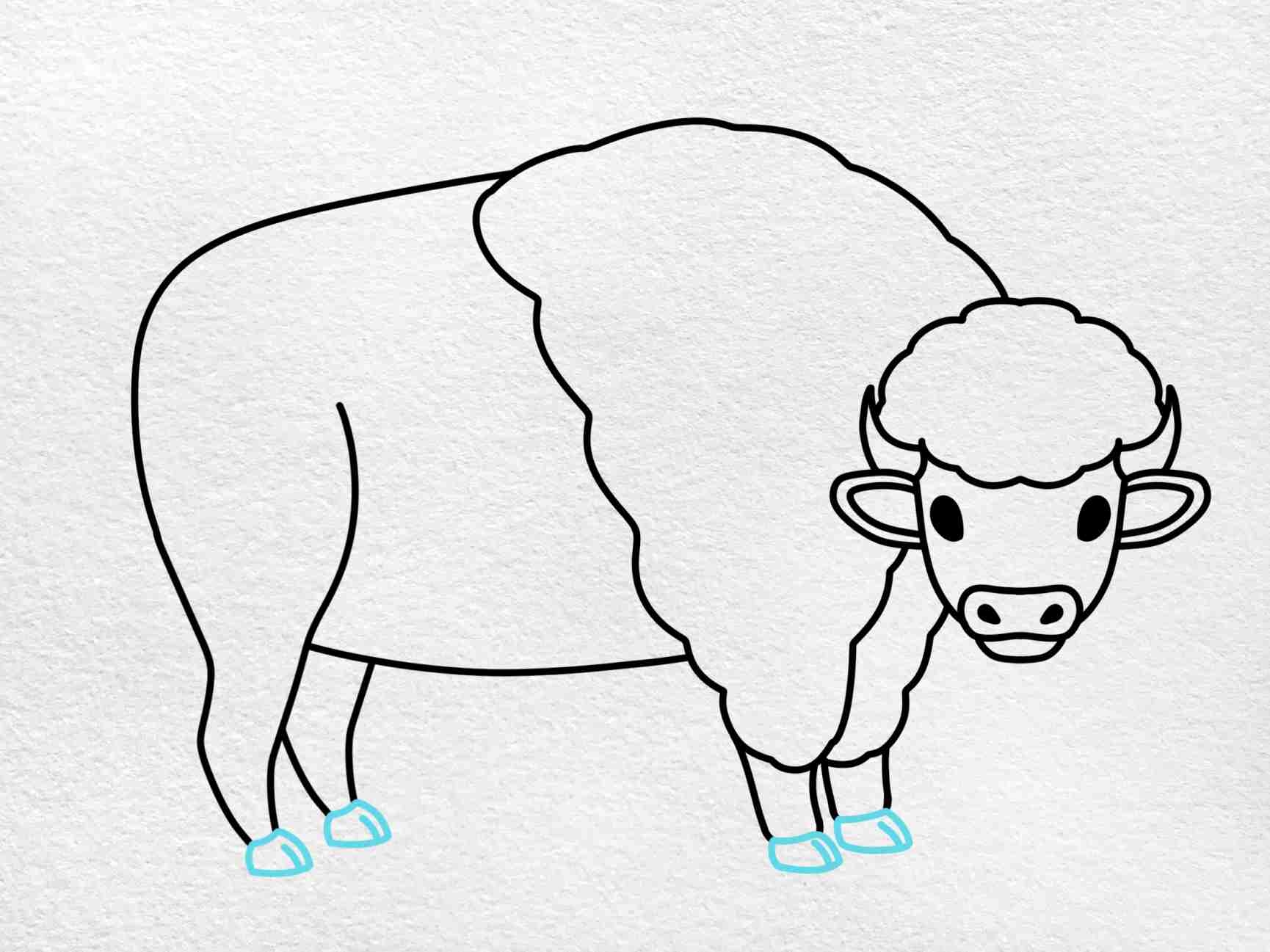 buffalo drawing