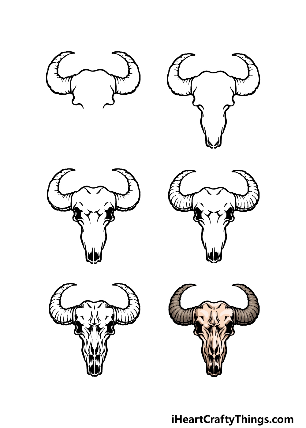 bull skull drawing