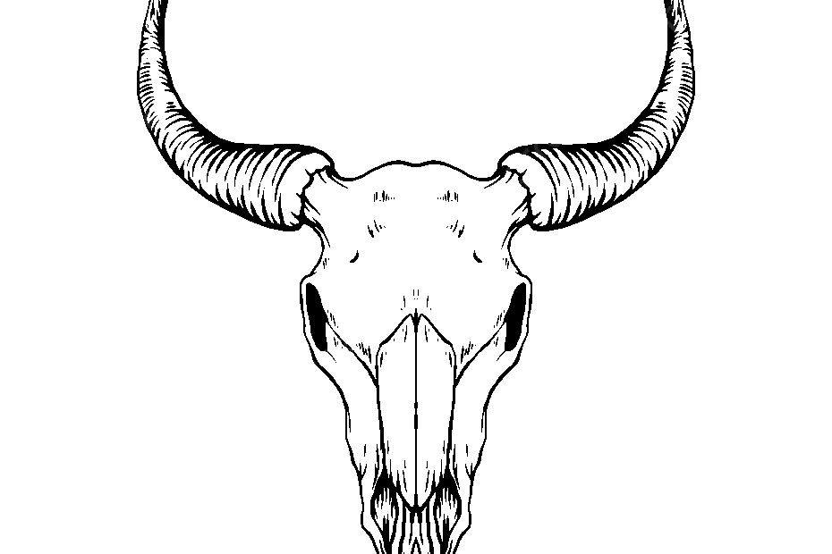 Bull Skull PNG Transparent Images Free Download Vector Files Pngtree