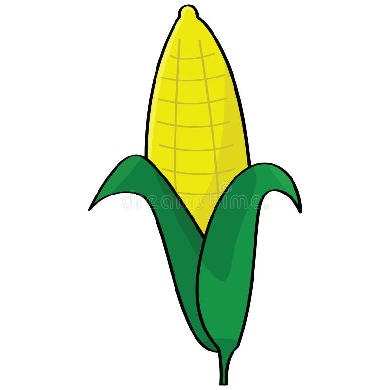 Cartoon Corn Stock Vector Illustration Of Nature Drawing 19491452