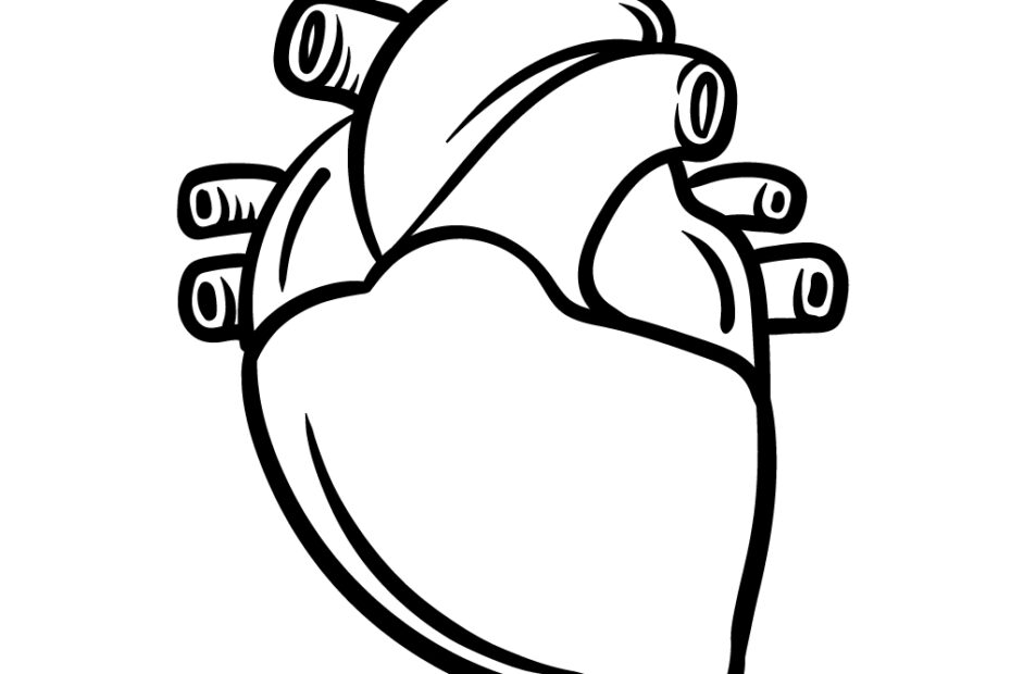 Cartoon Heart Drawing How To Draw A Cartoon Heart Step By Step