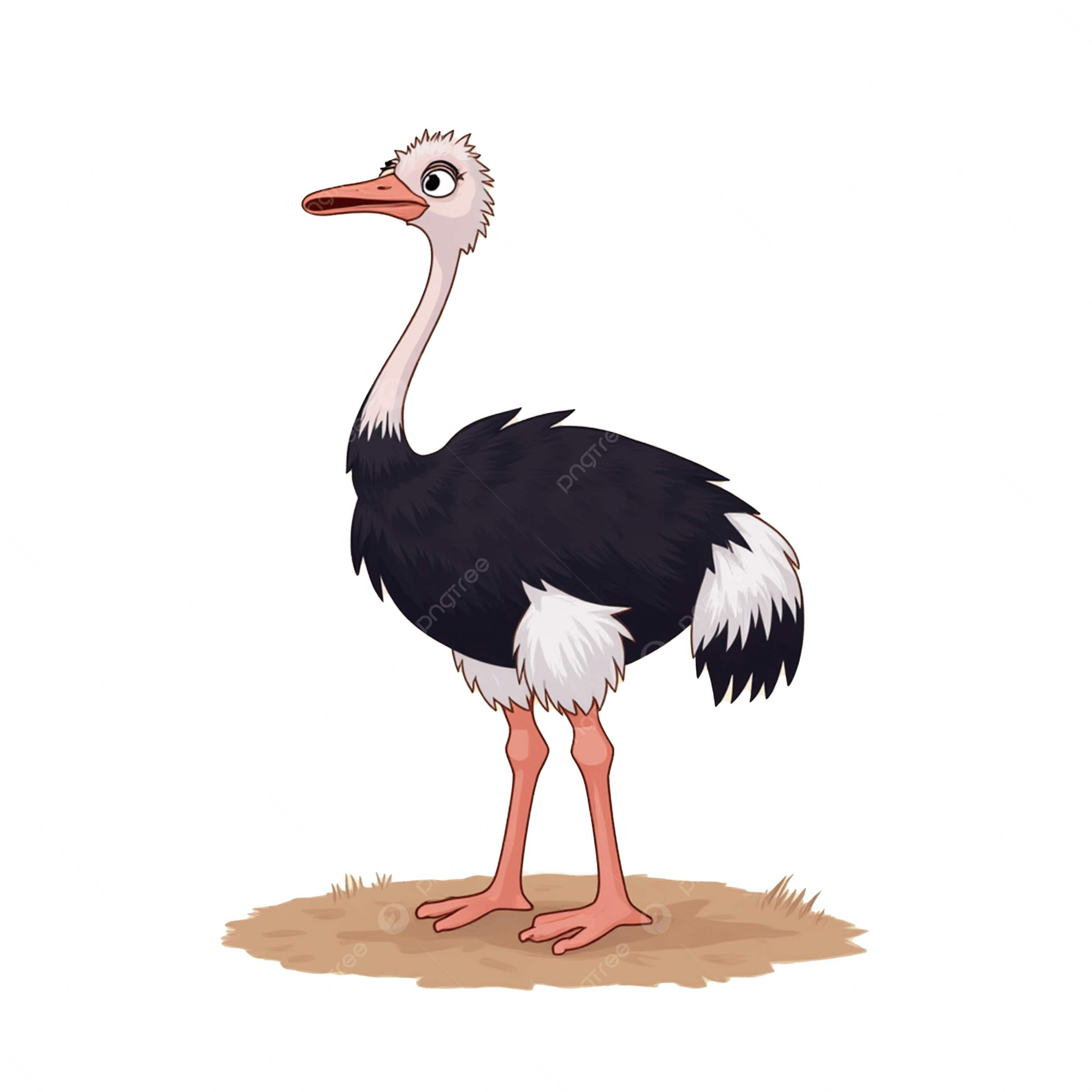 Cartoon Ostrich Standing On Desert Ground Cartoon Clipart Desert Clipart Ostrich Clipart PNG Transparent Image And Clipart For Free Download